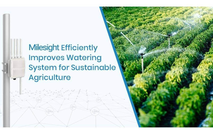 Milesight Improves Watering System for Sustainable Agriculture